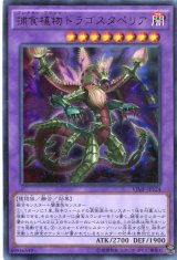 画像: 【特価品】捕食植物ドラゴスタペリア VJMP-JP124（ウルトラレア）