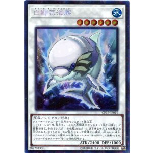 画像: 【特価品】白闘気海豚 CP17-JP019(コレクターズレア)