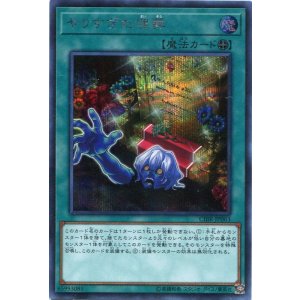 画像: 【特価品】やりすぎた埋葬 CIBR-JP063（シークレットレア）