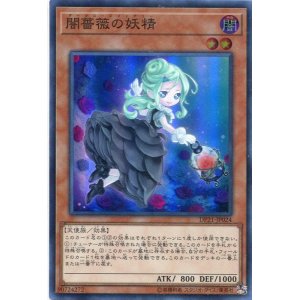 画像: 【特価品】闇薔薇の妖精 DP21-JP024（スーパーレア）