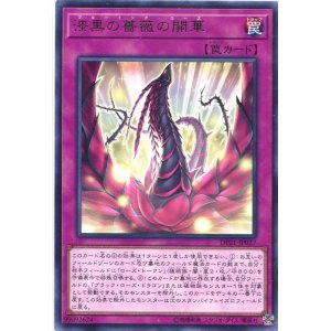 画像: 【特価品】漆黒の薔薇の開華 DP21-JP027（レア）