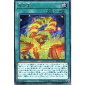 画像: 方界業 20TH-JPC49（シークレットレア）