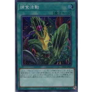 画像: 【特価品】捕食活動 DP22-JP047（スーパーレア）