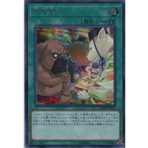 画像: 犬賞金 CHIM-JP063(シークレットレア)