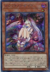 画像: カクリヨノチザクラ RC03-JP019（シークレットレア）