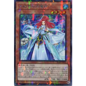 画像: 氷結界の照魔師 SD40-JP002(シークレットパラレルレア)