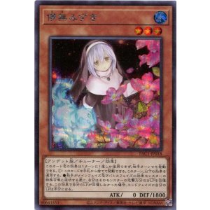 画像: 儚無みずき(新規イラスト)PAC1-JP018(シークレットレア)