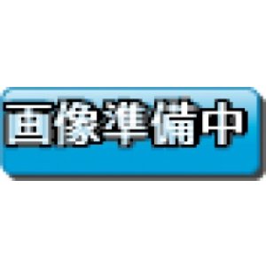 画像: 【特価品】英語版 暗影の闇霊使いダルク BACH-EN049 1st（スーパーレア）