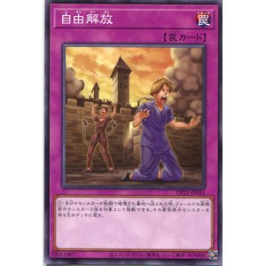 画像: 自由解放 DP25-JP033（ノーマル）