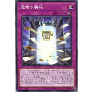 画像: 運命の契約 SD42-JP036（ノーマルパラレルレア）