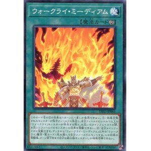 画像: ウォークライ・ミーディアム DIFO-JP065（ノーマル）