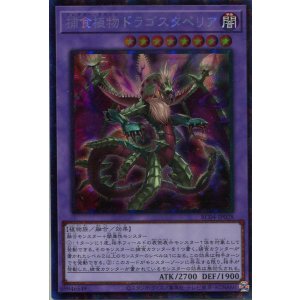 画像: 捕食植物ドラゴスタペリア RC04-JP028（コレクターズレア）