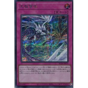 画像: 天龍雪獄 RC04-JP079（シークレットレア）