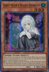 画像: 【特価品】英語版 儚無みずき MP22-EN259 1st（スーパーレア）