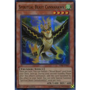 画像: 【特価品】英語版 精霊獣 カンナホーク THSF-EN027 1st（スーパーレア）