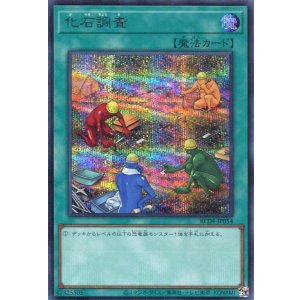 画像: 化石調査 RC04-JP054(シークレットレア)