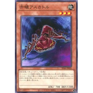 画像: 赤蟻アスカトル SD46-JP020（ノーマル）