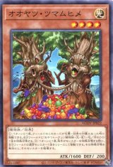 画像: オオヤツ・ツマムヒメ AGOV-JP022（ノーマル）