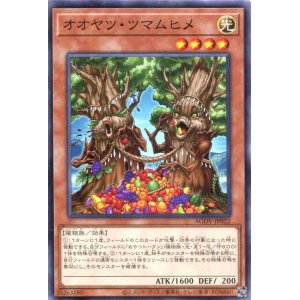 画像: オオヤツ・ツマムヒメ AGOV-JP022（ノーマル）