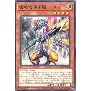 画像: 侵略的外来種－Ｉ.Ａ.Ｓ AGOV-JP023（ノーマル）