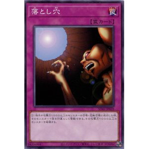 画像: 落とし穴 SD45-JP028（ノーマル）