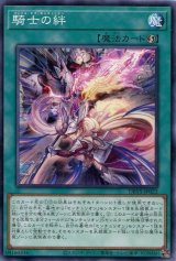 画像: 騎士の絆 DBVS-JP022（ノーマル）