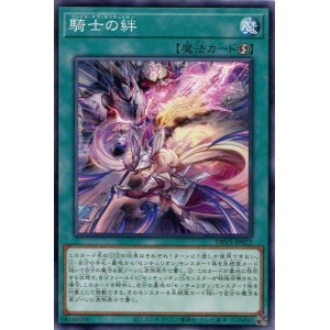 画像: 騎士の絆 DBVS-JP022（ノーマル）