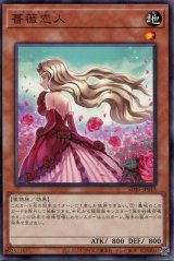 画像: 薔薇恋人 SD45-JP015（ノーマル）