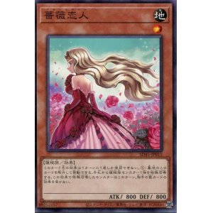 画像: 薔薇恋人 SD45-JP015（ノーマル）