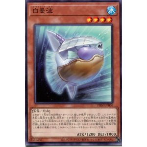 画像: 白曼波 PHNI-JP006（ノーマル）