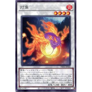画像: 灯魚 PHNI-JP044（ノーマル）