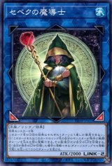 画像: セベクの魔導士 PHNI-JP053（ノーマル）