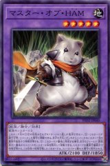 画像: マスター・オブ・ＨＡＭ PHNI-JP040（ノーマル）