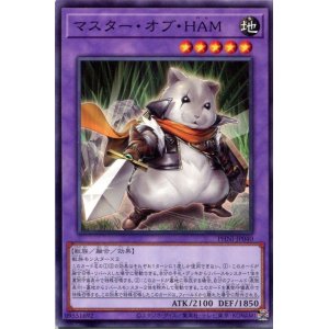 画像: マスター・オブ・ＨＡＭ PHNI-JP040（ノーマル）