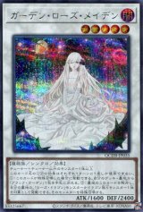 画像: ガーデン・ローズ・メイデン QCDB-JP035（シークレットレア）