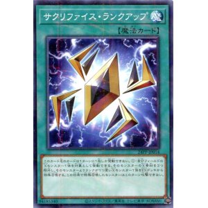 画像: サクリファイス・ランクアップ 24PP-JP014（ノーマルパラレルレア）