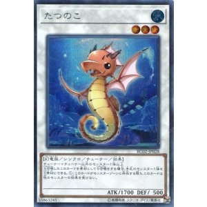 画像: 【特価品】たつのこ RC02-JP028(シークレットレア)