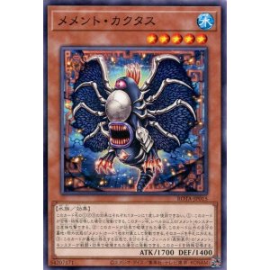 画像: メメント・カクタス ROTA-JP015（ノーマル）