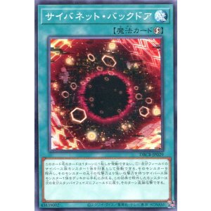 画像: サイバネット・バックドア DBCB-JP029（ノーマル）