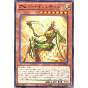 画像: アセット・マウンティス WPP5-JP046（ノーマル）