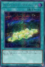 画像: サイバネット・マイニング QCCU-JP109（シークレットレア）
