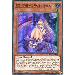 画像: 【特価品】英語版 カクリヨノチザクラ DUDE-EN006 1st（ウルトラレア）