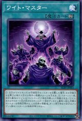 画像: ワイト・マスター ALIN-JP065（ノーマル）