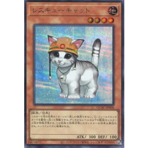 画像: レスキューキャット（通常イラスト） QCAC-JP006（シークレットレア）