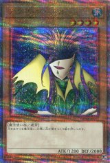 画像: アクア・マドール QCLP-JP002（クォーターセンチュリーシークレットレア）※表面：美品　裏面：初期傷有