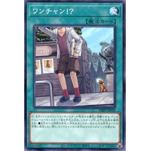 画像: ワンチャン！？ DBJH-JP028（ノーマル）