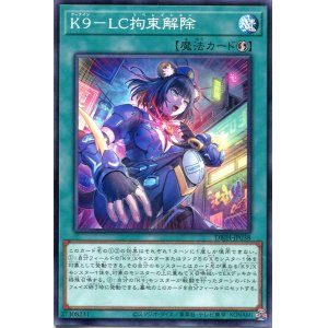 画像: Ｋ９－ＬＣ拘束解除 DBJH-JP038（ノーマル）