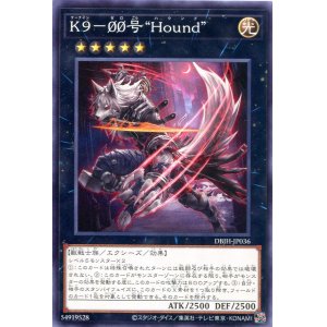 画像: Ｋ９－００号 “Ｈｏｕｎｄ” DBJH-JP036（ノーマル）