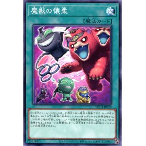 画像: 魔獣の懐柔 DBJH-JP029（ノーマル）
