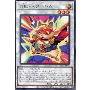 画像: ＴＨＥ・スターハム DUAD-JP041（ノーマル）